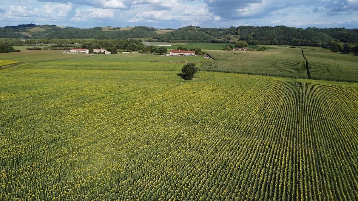 Gite - Relais De Soubeille - Nature - Comminges Pyrenees Boulogne-sur-Gesse 0*,  Frankrijk